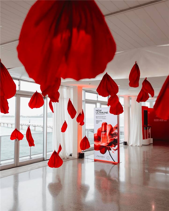Giant paper flowers installation